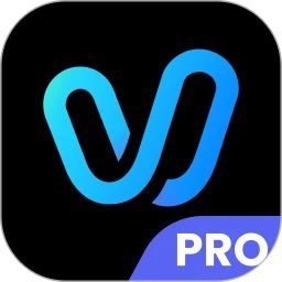 ViduAIPro