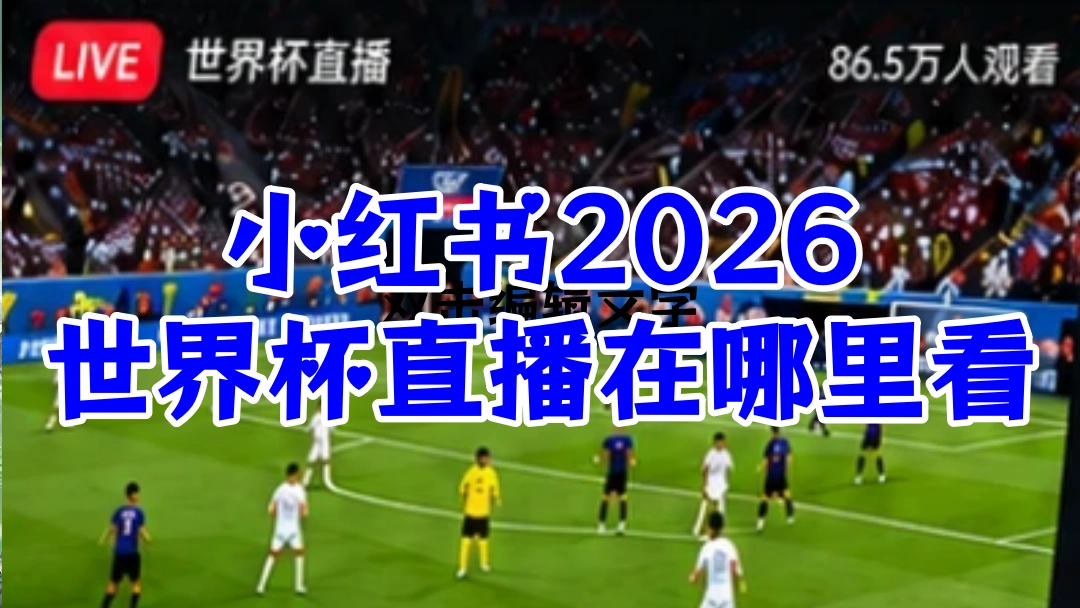 小红书2026世界杯直播在哪里看