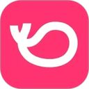 灰豚数据App