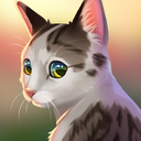 猫咪救援故事