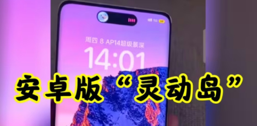灵动岛软件