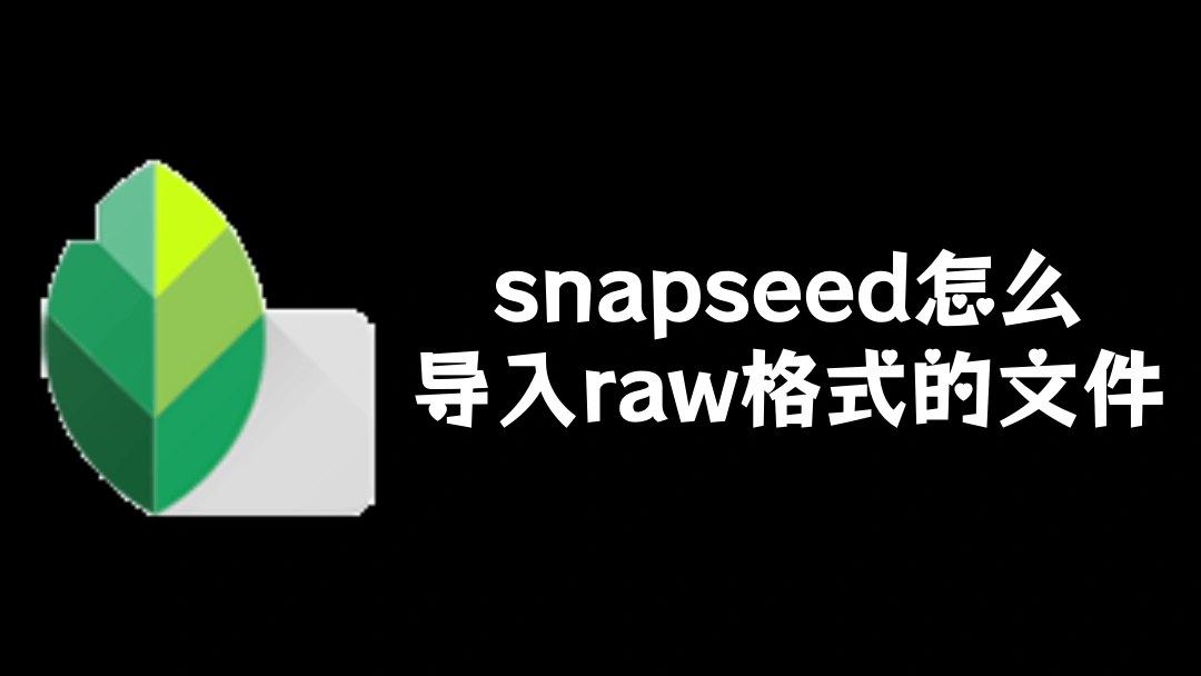 snapseed怎么导入raw格式的文件