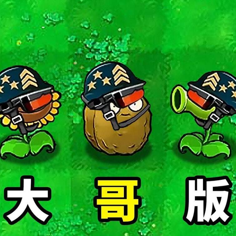 植物大战僵尸大哥版