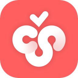 CherryStudio