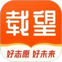 载望志愿