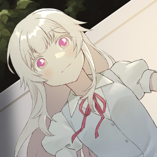 花开之你携我至夏之尽头的白花