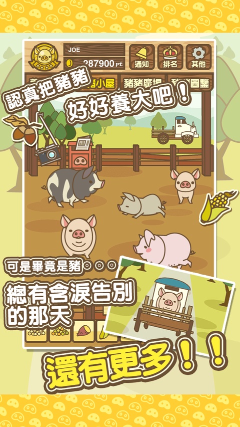 养猪场MIX截图4