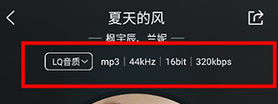 VIPERHiFi
