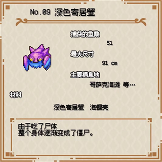 海洋幻想