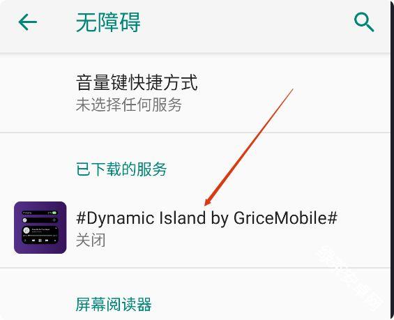 DynamicIsland