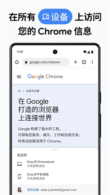 Chrome截图1