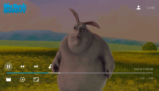 JellyfinTV客户端截图4