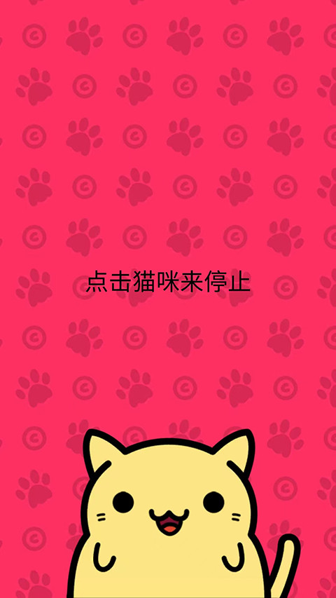 小偷猫