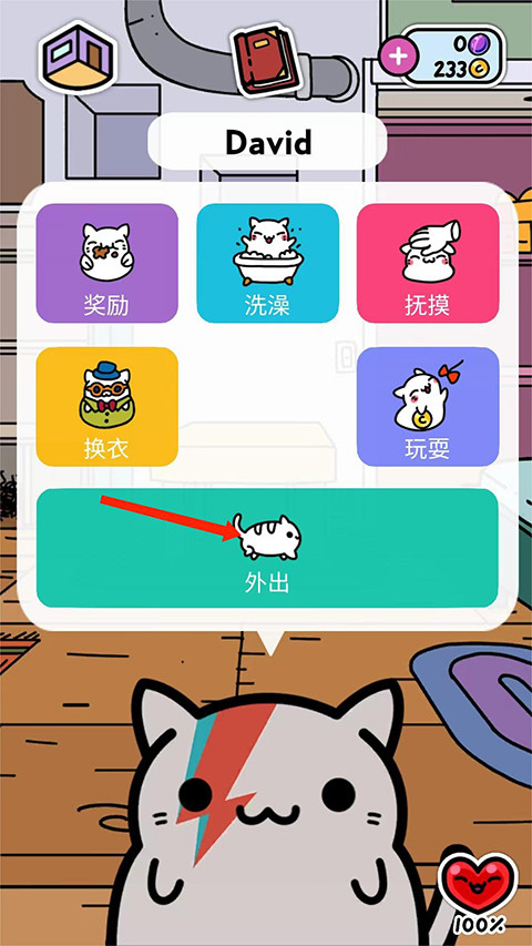 小偷猫