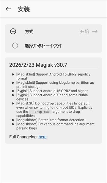 Magisk面具截图4