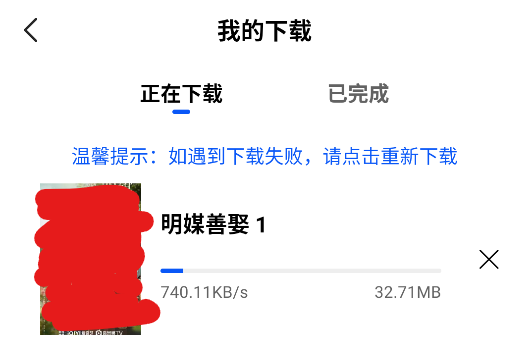 森林视频