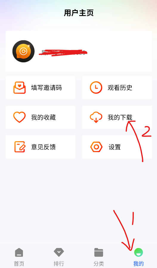 森林视频