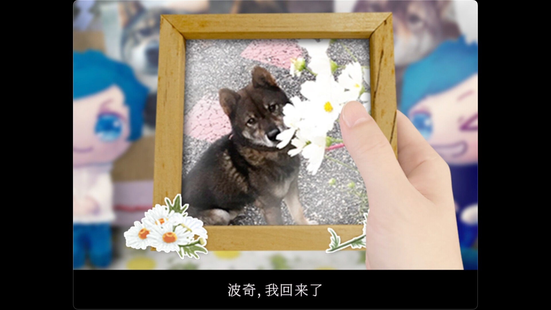 翌日波奇狗的历险记截图4