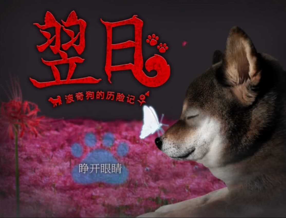 翌日波奇狗的历险记