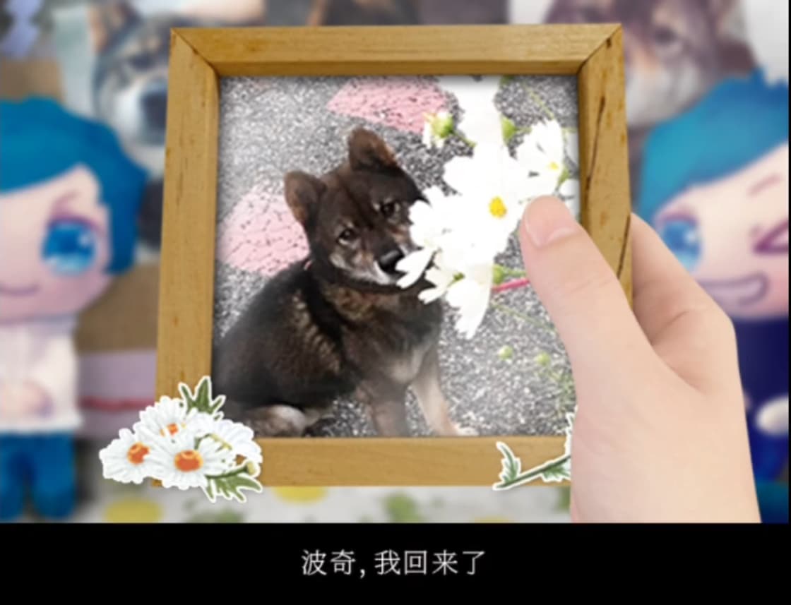 翌日波奇狗的历险记
