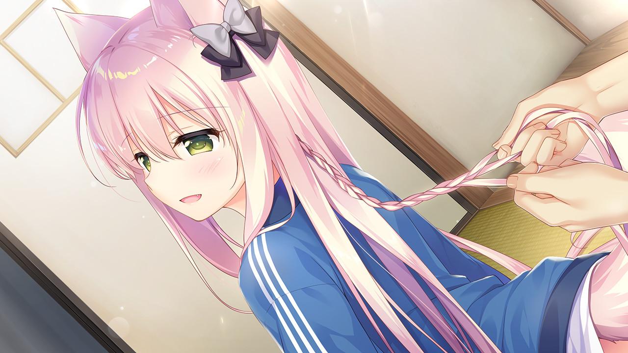 兽娘育成方案截图3