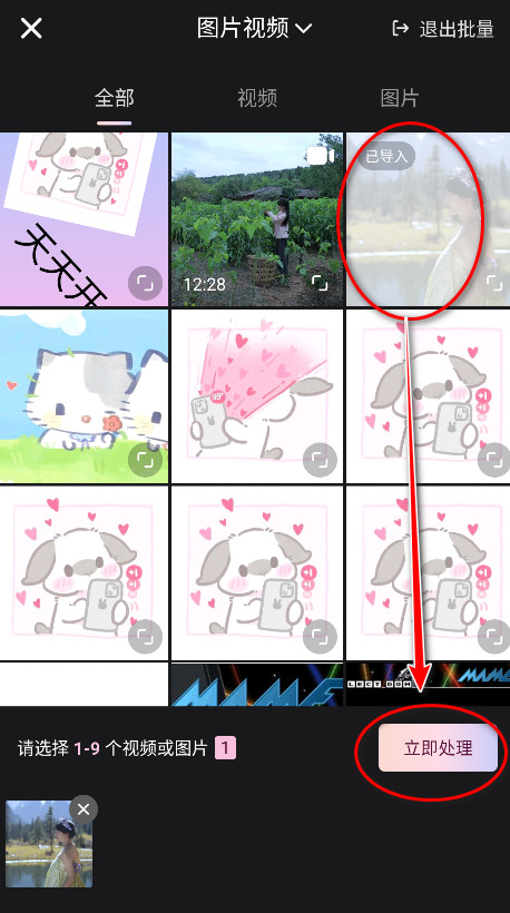 wink画质修复