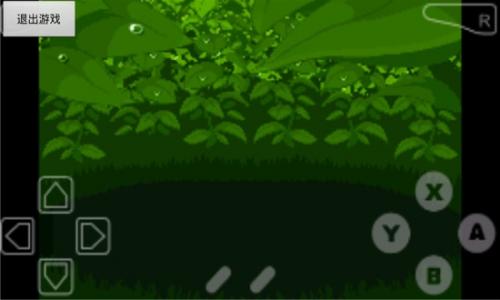 口袋妖怪漆黑的魅影5.0exbw手机版截图3
