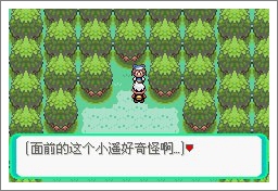 口袋妖怪漆黑的魅影5.0exbw手机版