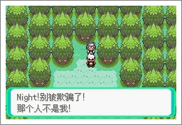 口袋妖怪漆黑的魅影5.0exbw手机版