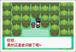 口袋妖怪漆黑的魅影5.0exbw手机版