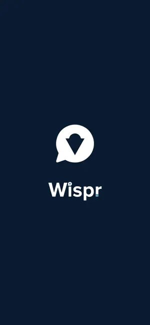Wispr截图1