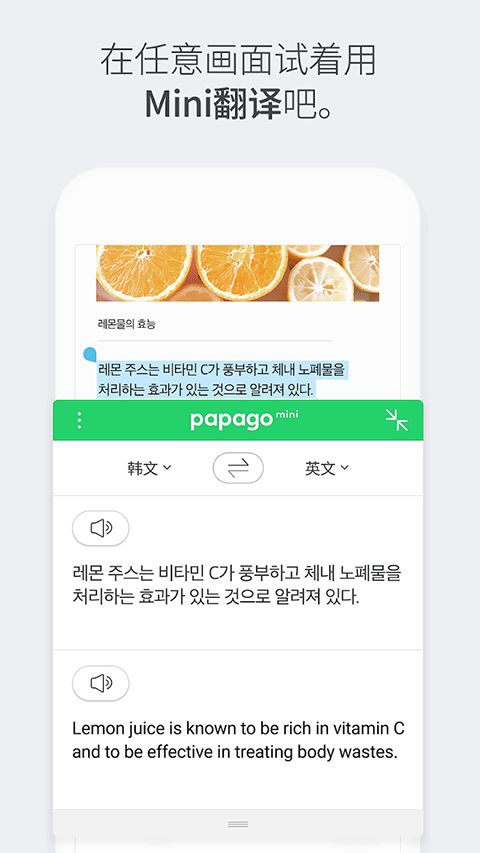 papago截图4