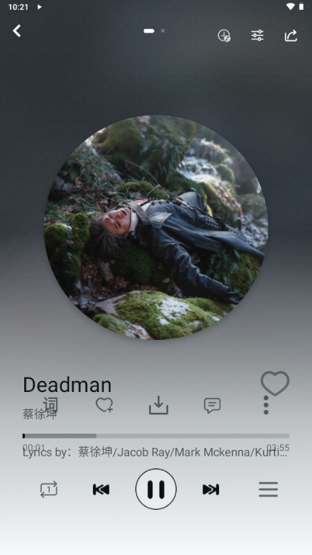 LEMusic截图4
