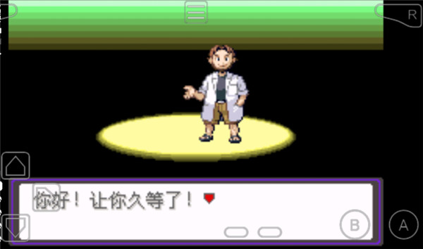 口袋妖怪漆黑的魅影5.0EX截图2