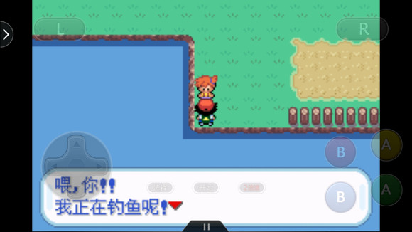 口袋妖怪圣灰汉化版