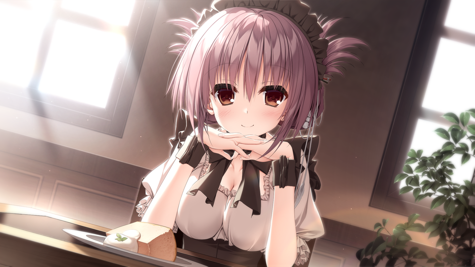 樱之诗安卓直装版截图5