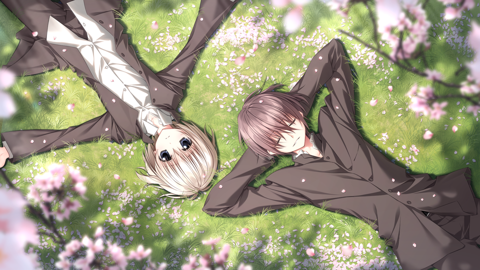 樱之诗安卓直装版截图3