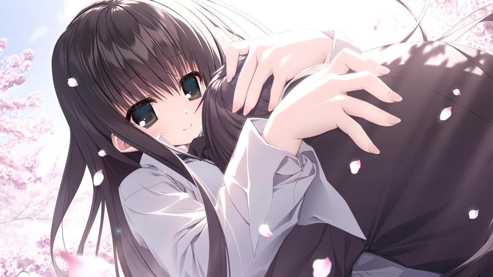 樱之诗安卓直装版截图2