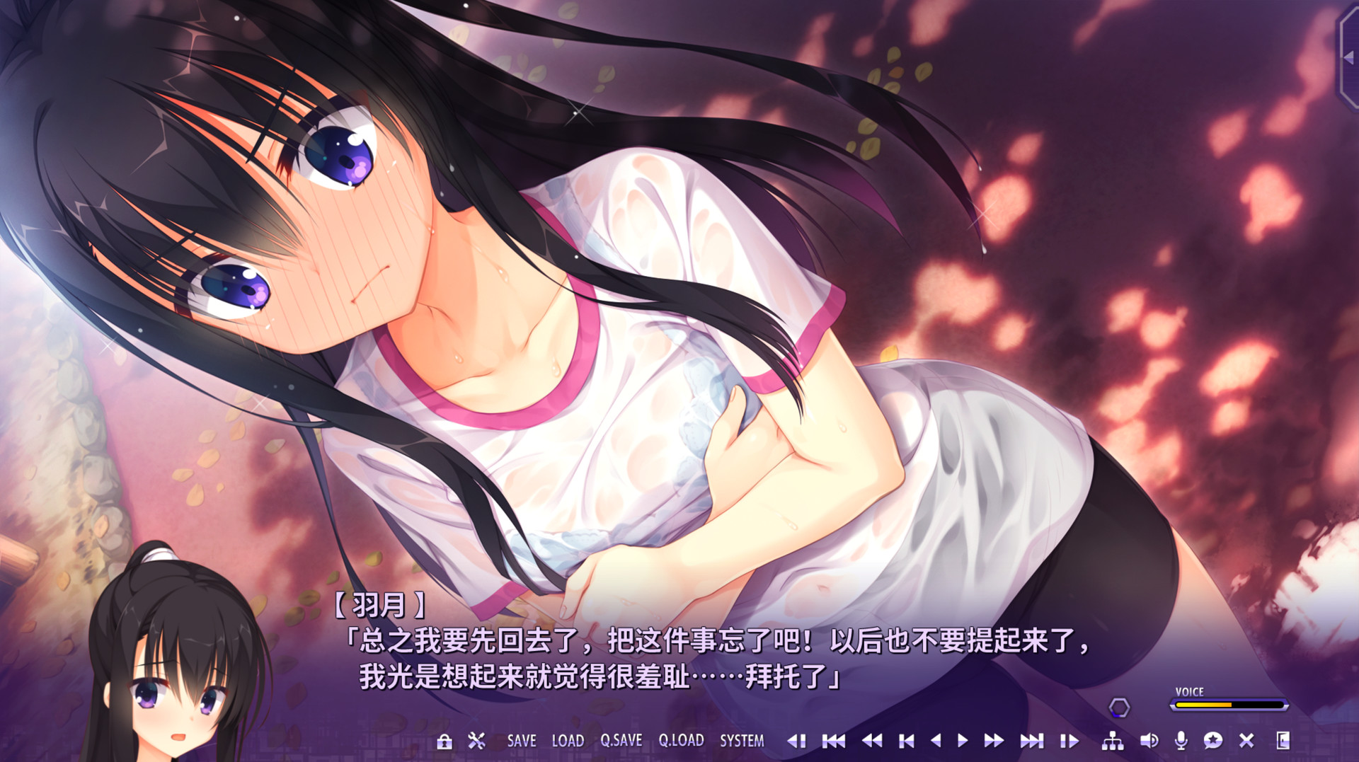 谜语小丑中文直装版截图3