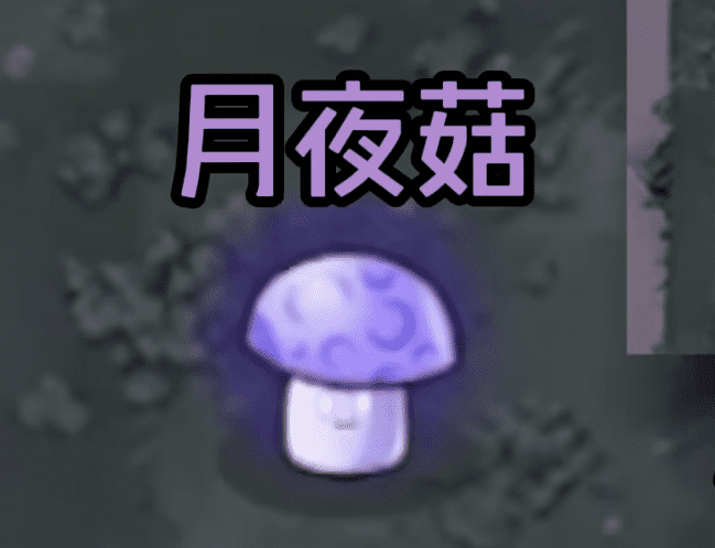 植物大战僵尸抽卡版手机版