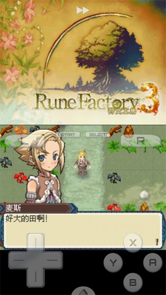符文工房3汉化版截图2