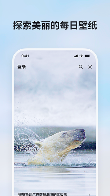 必应国际版截图1