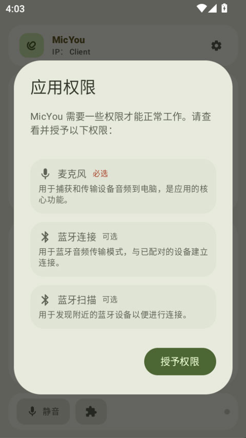 MicYou截图1