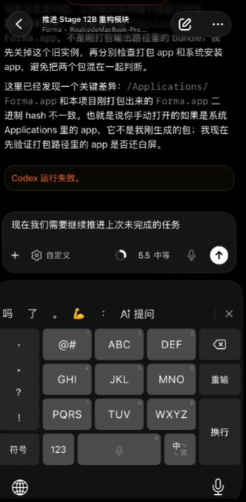 Codex截图4