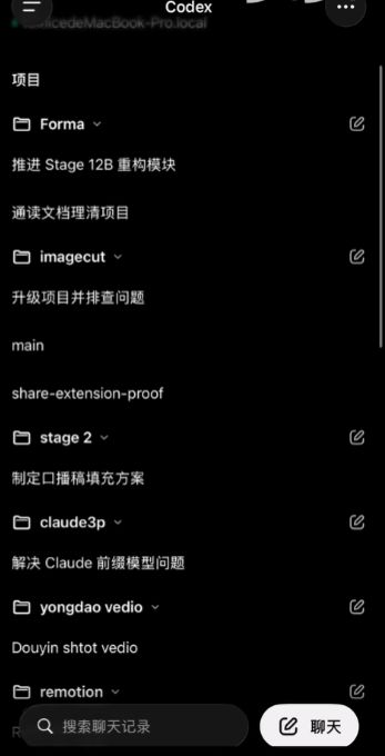 Codex截图1