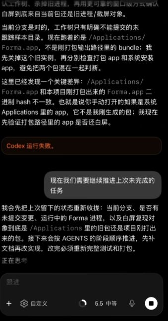Codex截图3