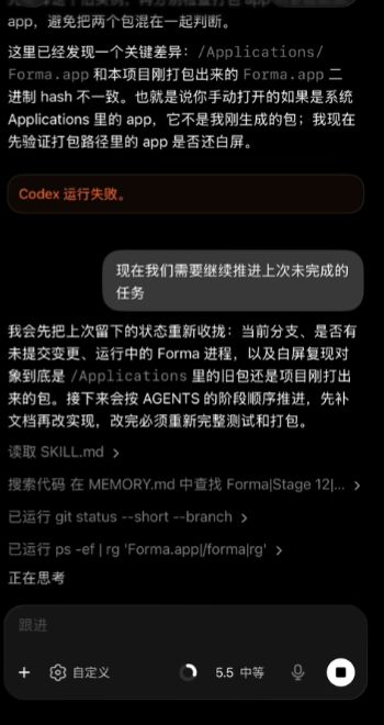 Codex截图2