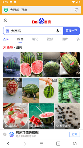 Fiery浏览器截图1
