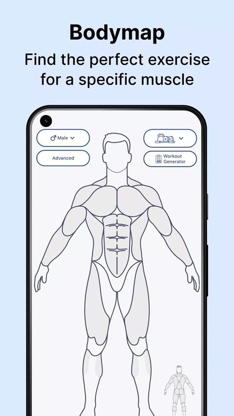 MuscleWiki截图4