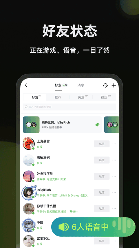 黑盒语音截图2